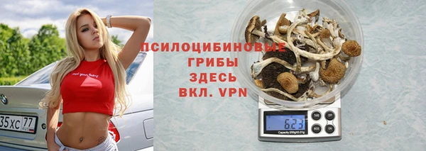 СК Абинск
