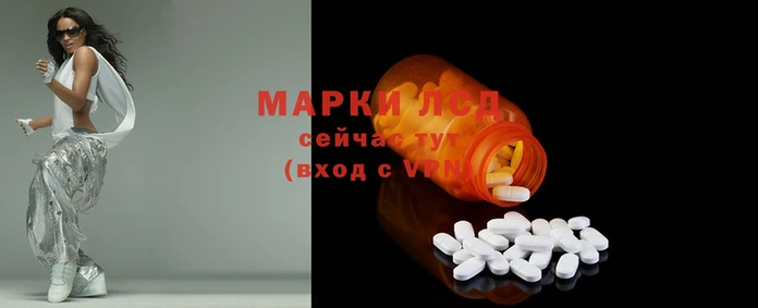 ПСИЛОЦИБИНОВЫЕ ГРИБЫ Абаза