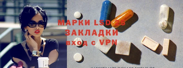 ПСИЛОЦИБИНОВЫЕ ГРИБЫ Абаза