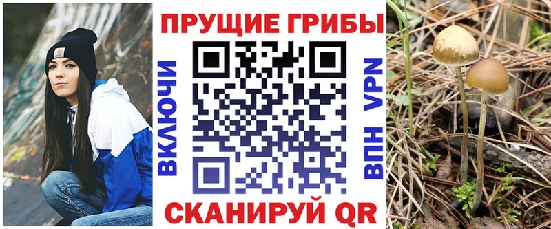 цены   Приволжск  Галлюциногенные грибы мухоморы 